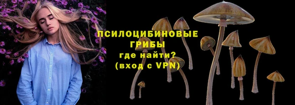 2c-b Балахна